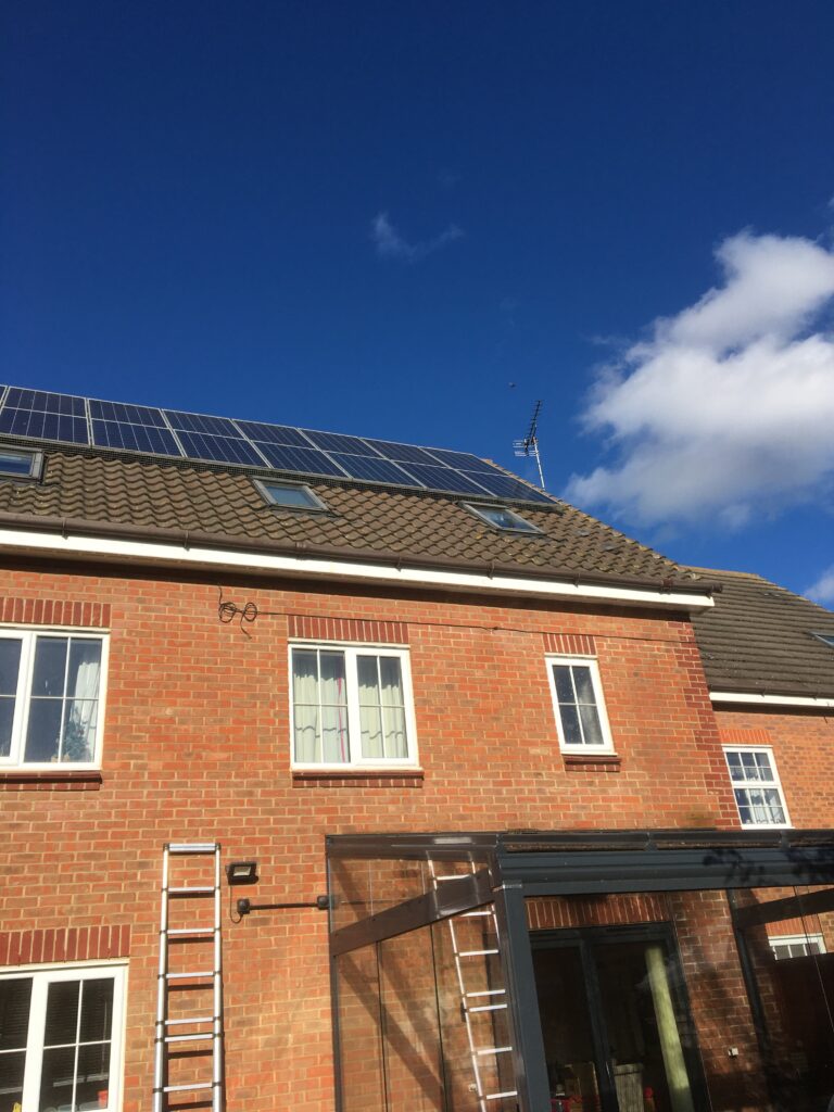 IMG_1287 IMG_1287